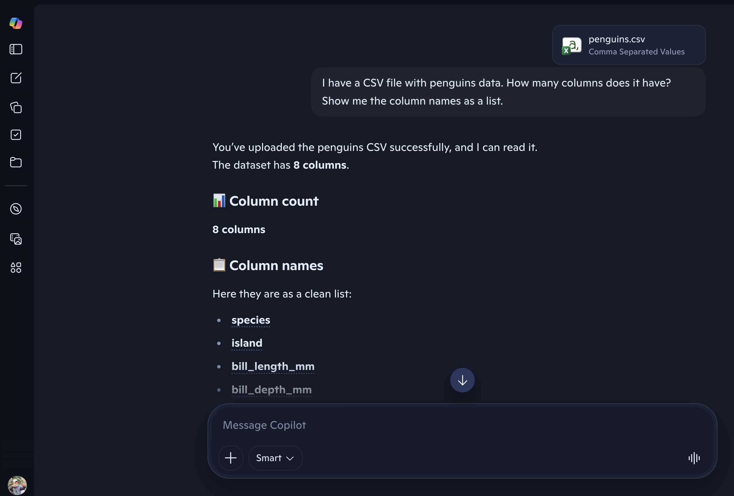 Copilot chat responding to the clear prompt about CSV columns, showing a specific and helpful answer