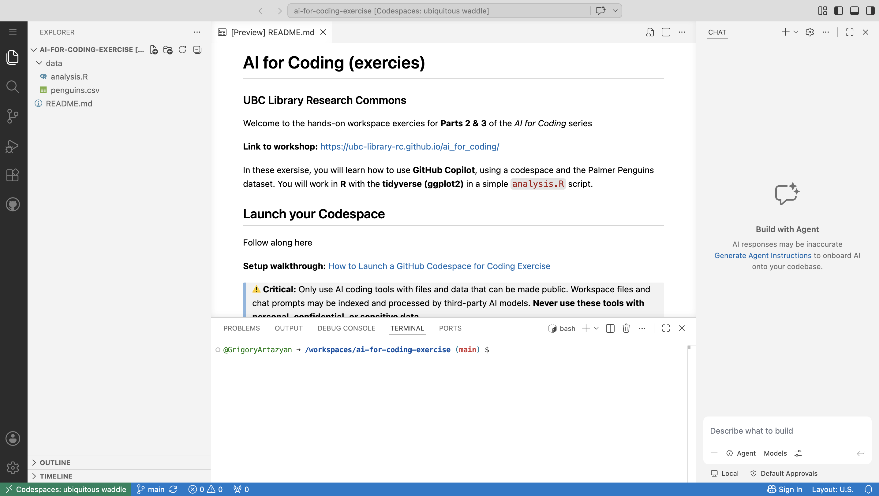 Codespace open in the browser