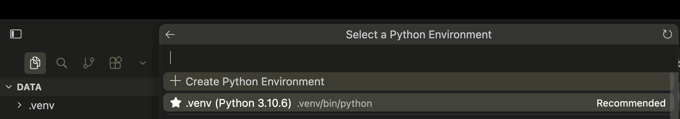Step 2: Select Python environment