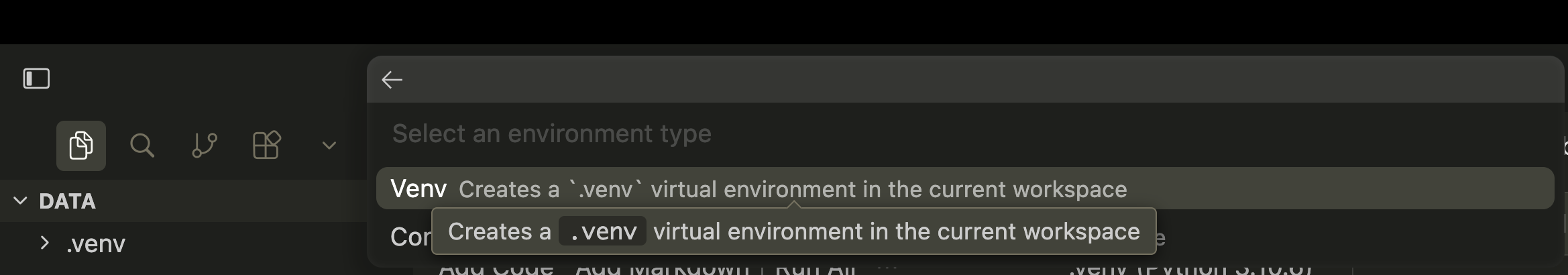 Step 3: Choose venv type