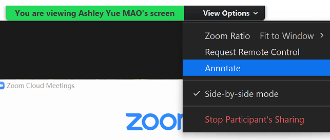 View options