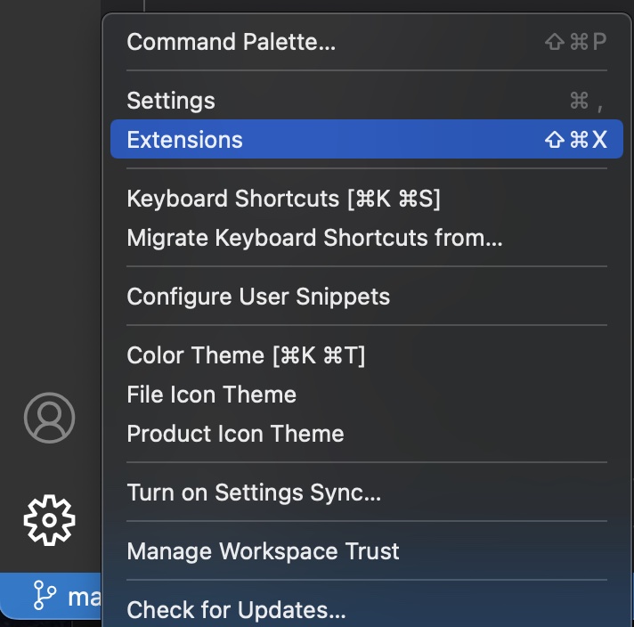 vs-extensions