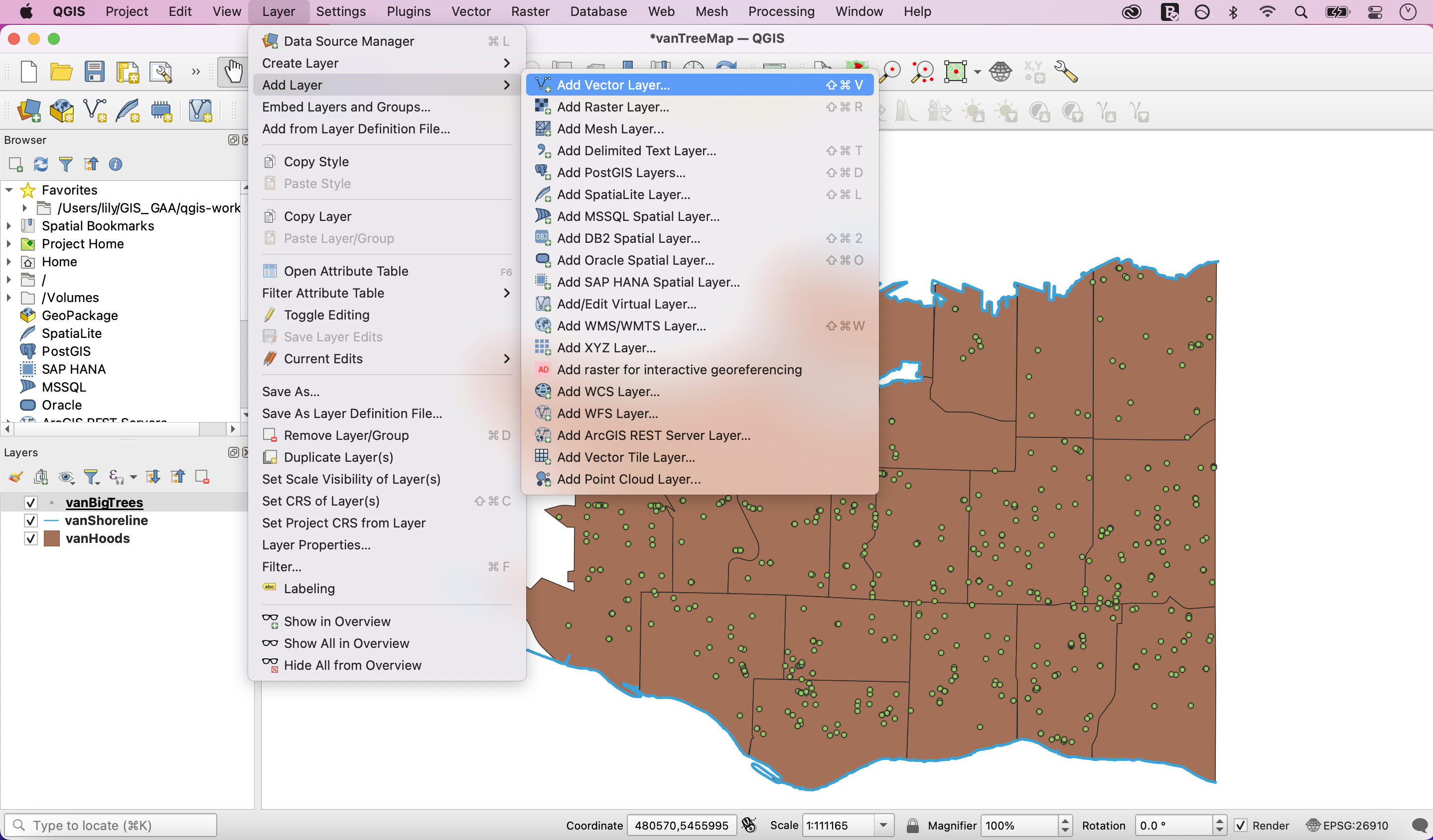 Add Vector Layer