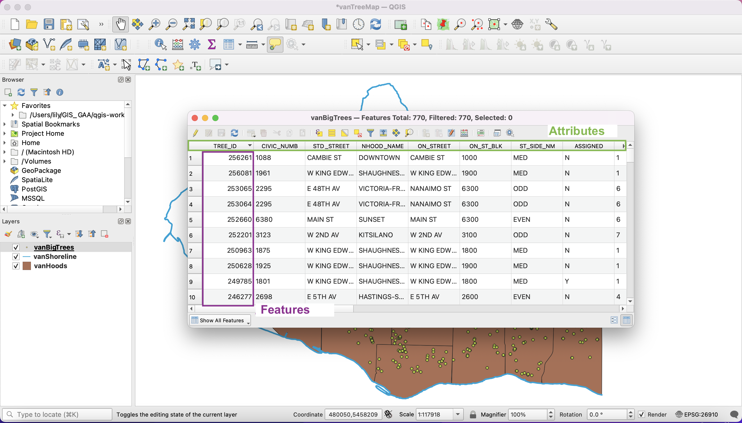 vanBigTrees Attributes and features table