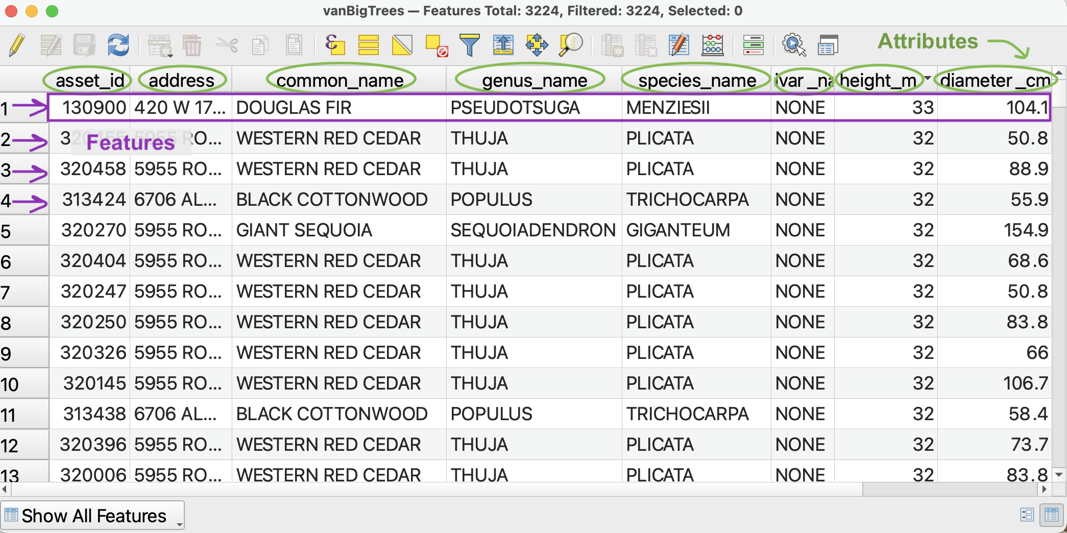 vanBigTrees attribute table